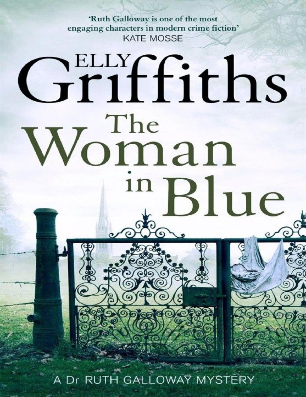 Cover of The Woman in Blue