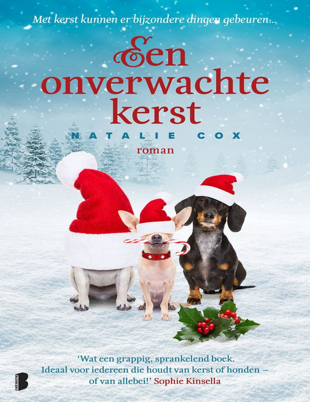 Cover of Een onverwachte kerst (2018)