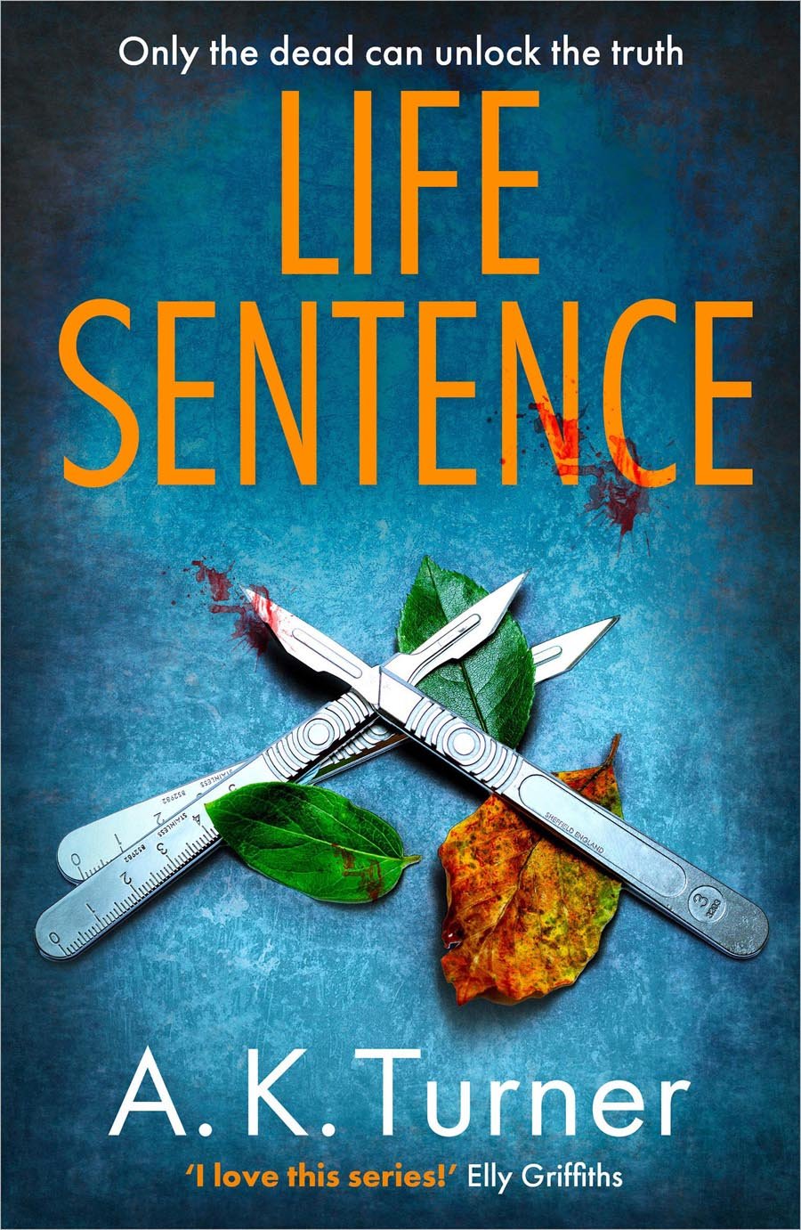 Cover of Life Sentence