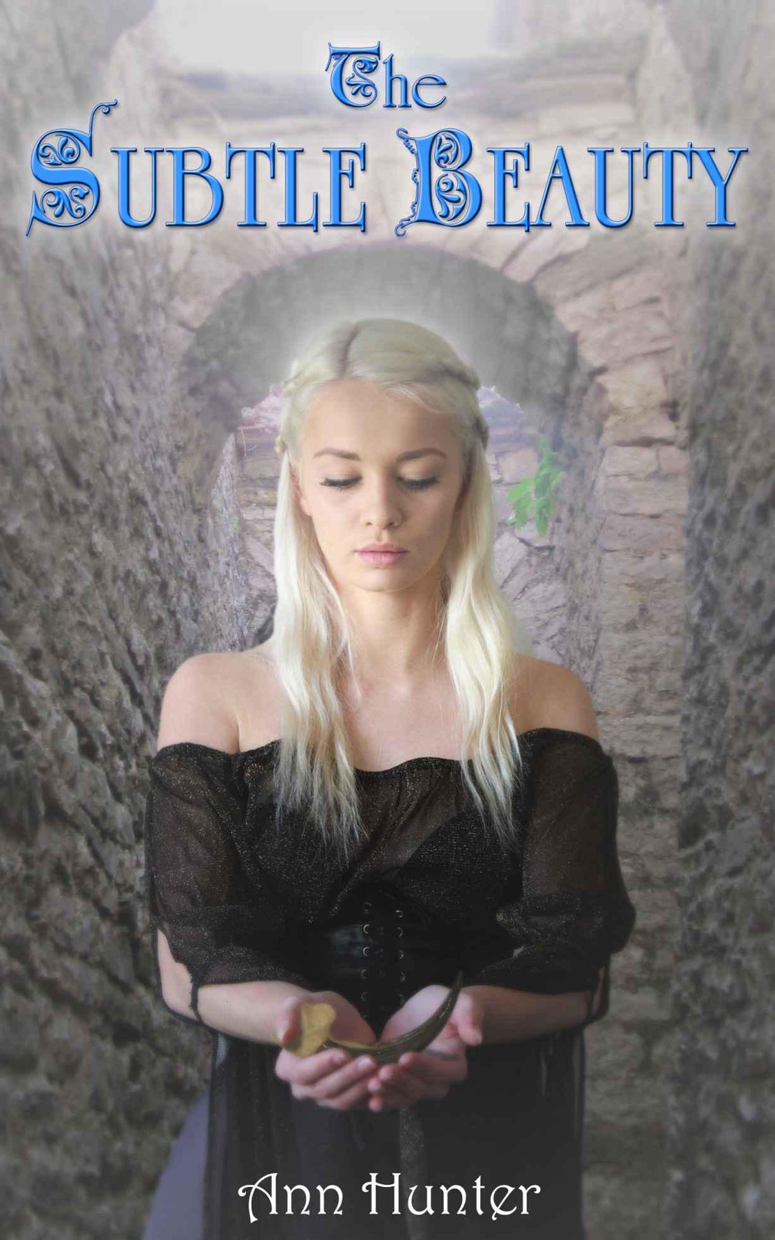 Cover of The Subtle Beauty