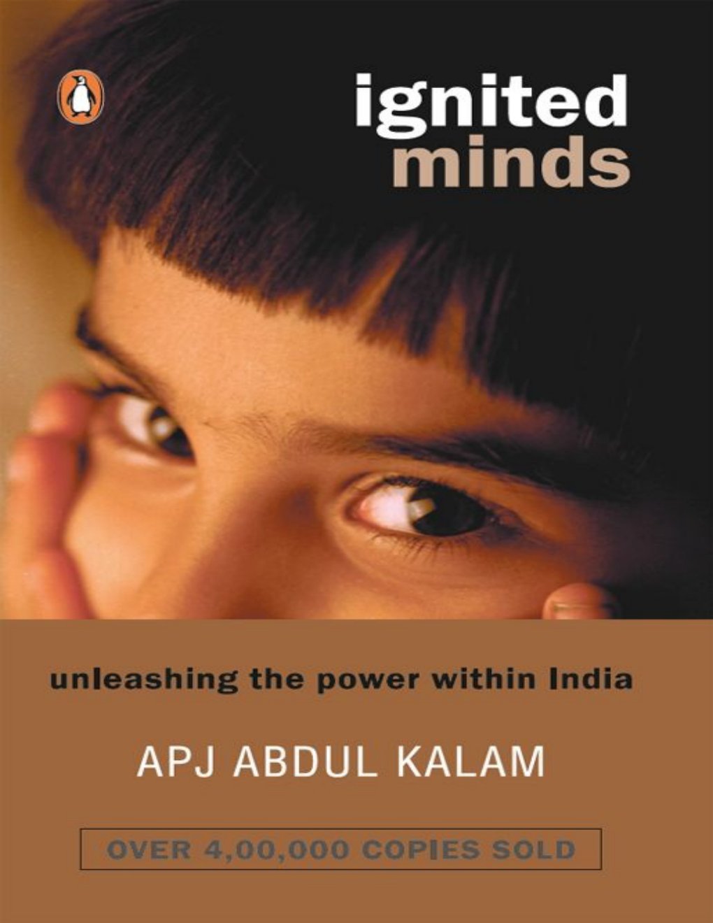 Cover of Ignited Minds