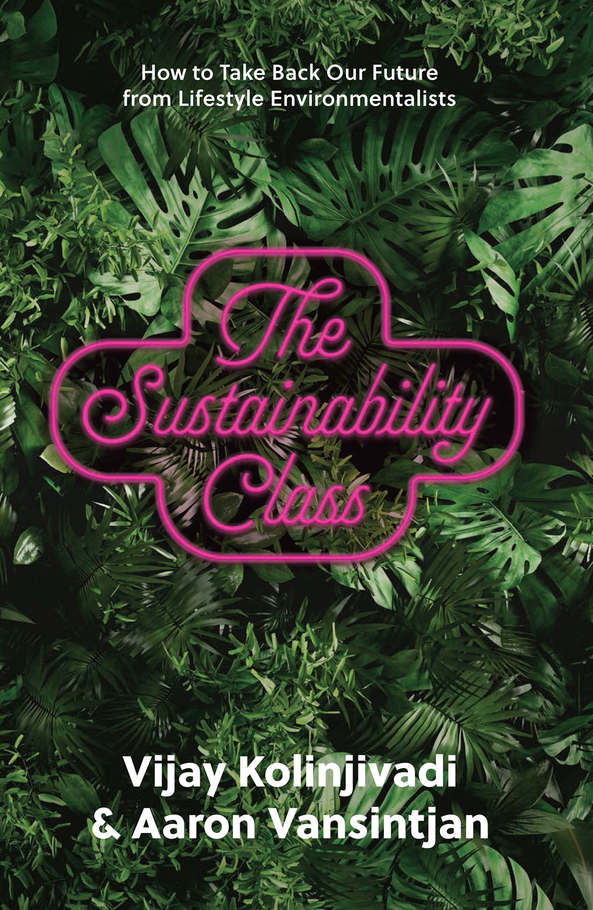 Cover of The Sustainability Class (1872)
