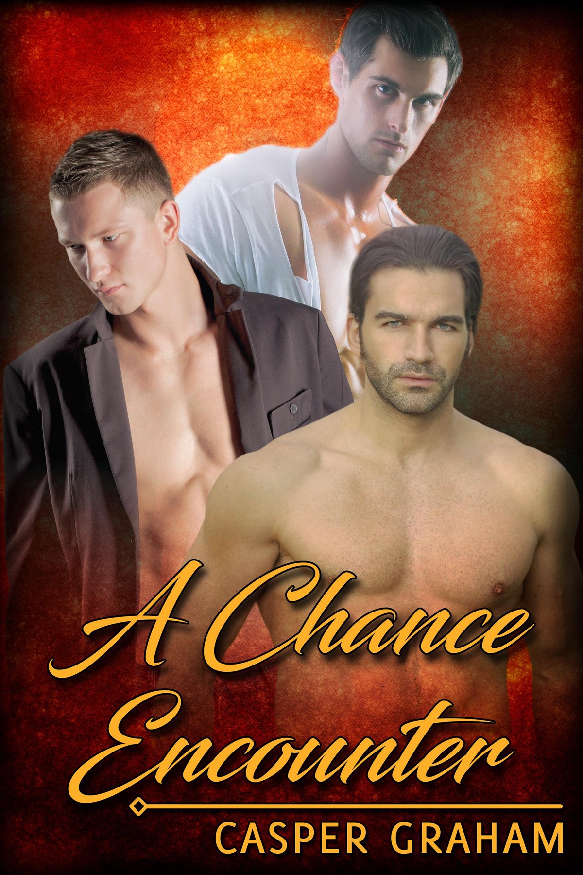 Cover of A Chance Encounter