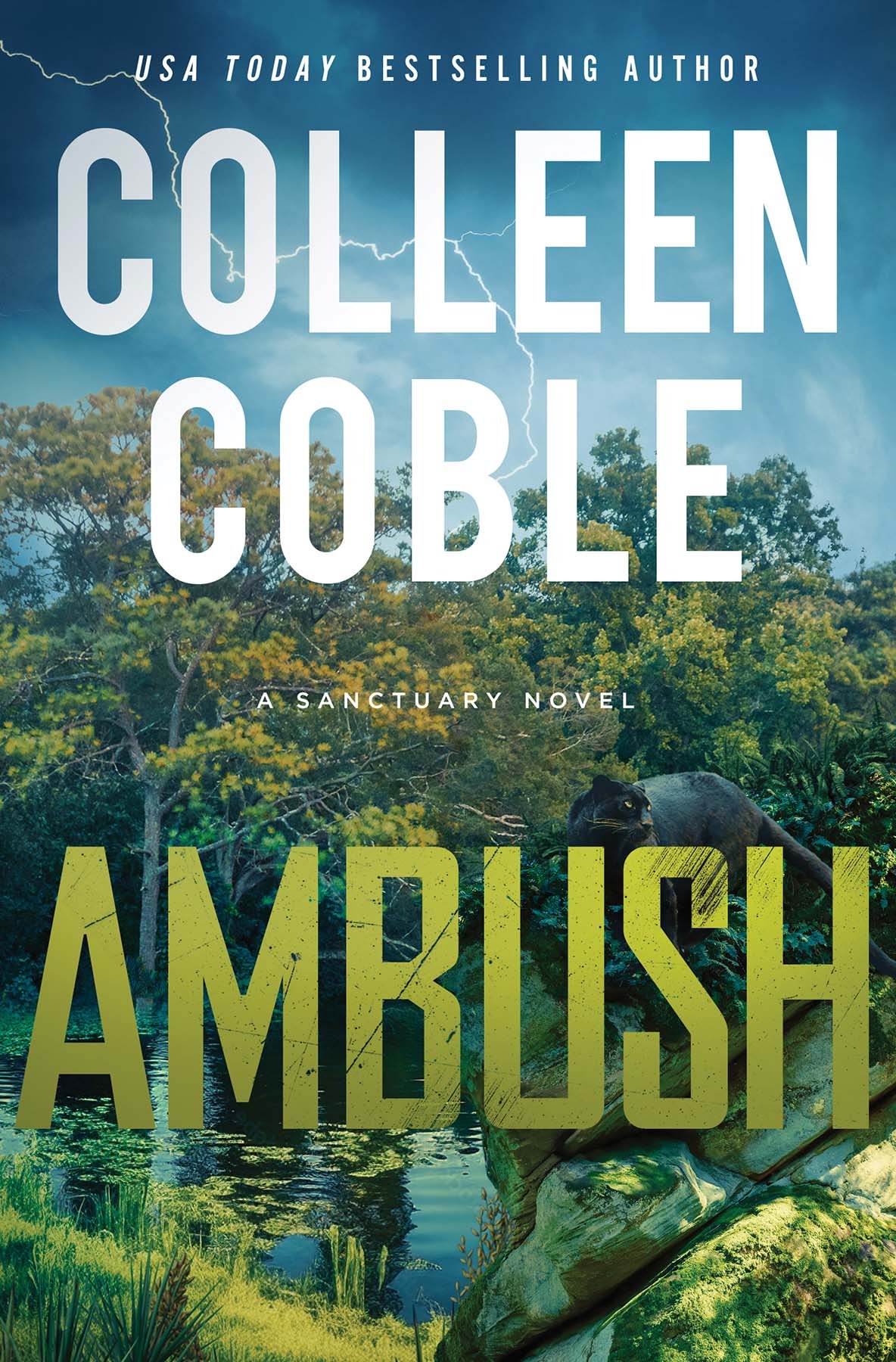 Cover of Ambush