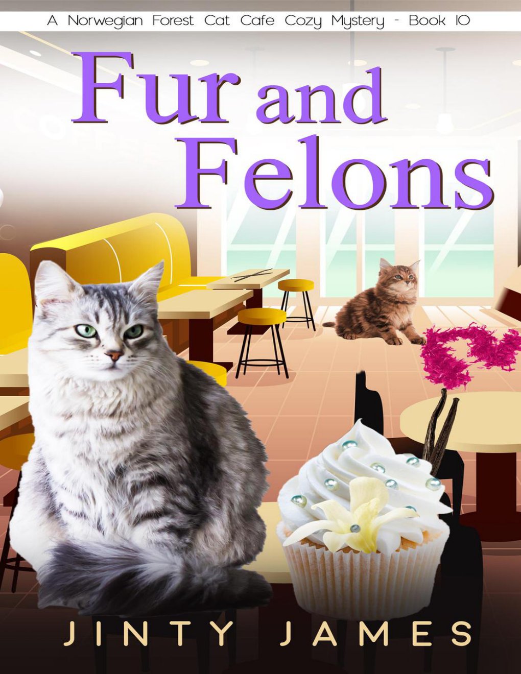 Cover of Fur and Felons
