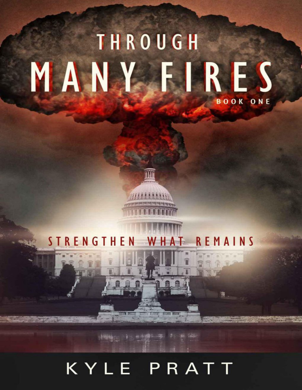 Cover of Through Many Fires (2012)