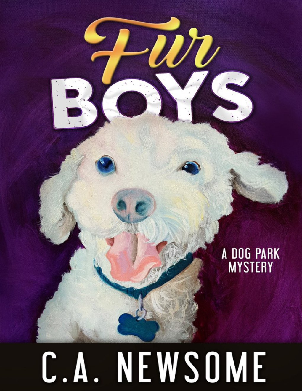 Cover of Fur Boys