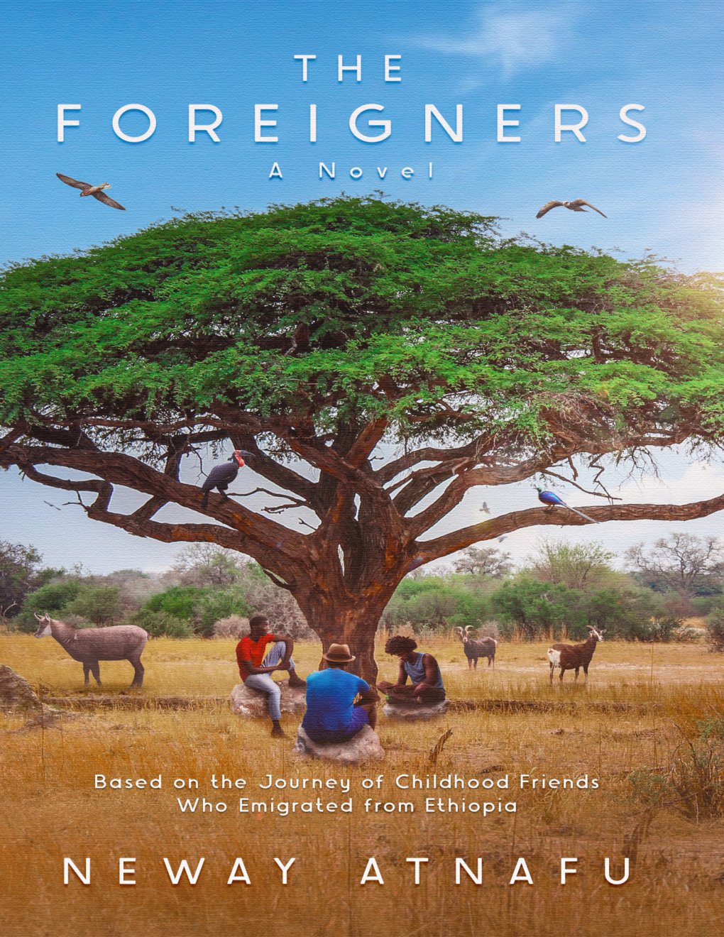 Cover of The Foreigners