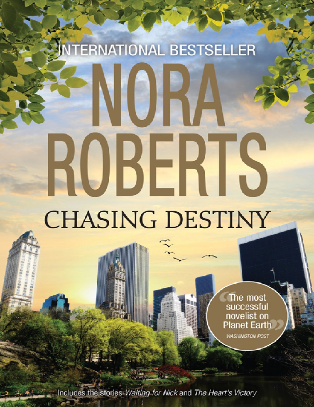 Cover of Chasing Destiny
