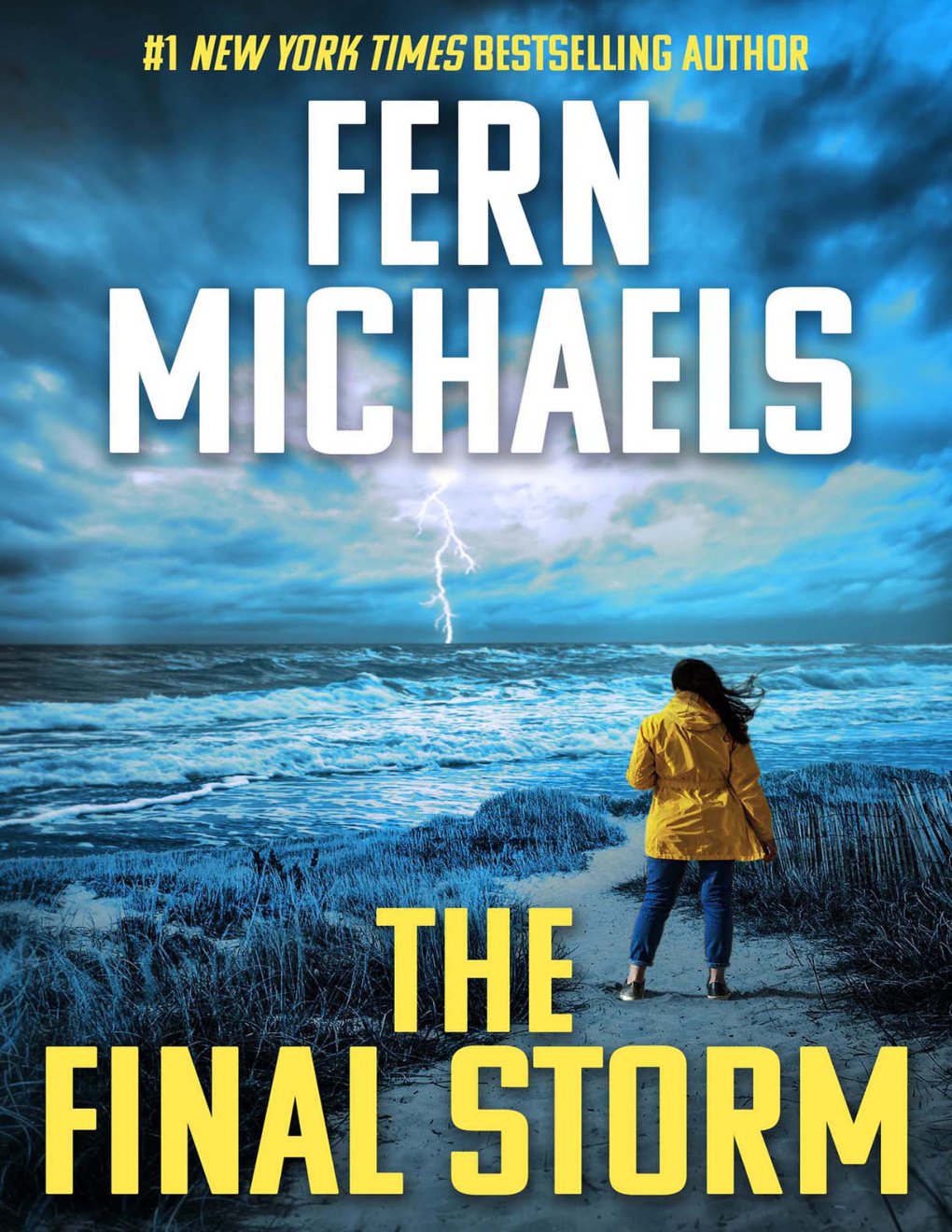 Cover of The Final Storm