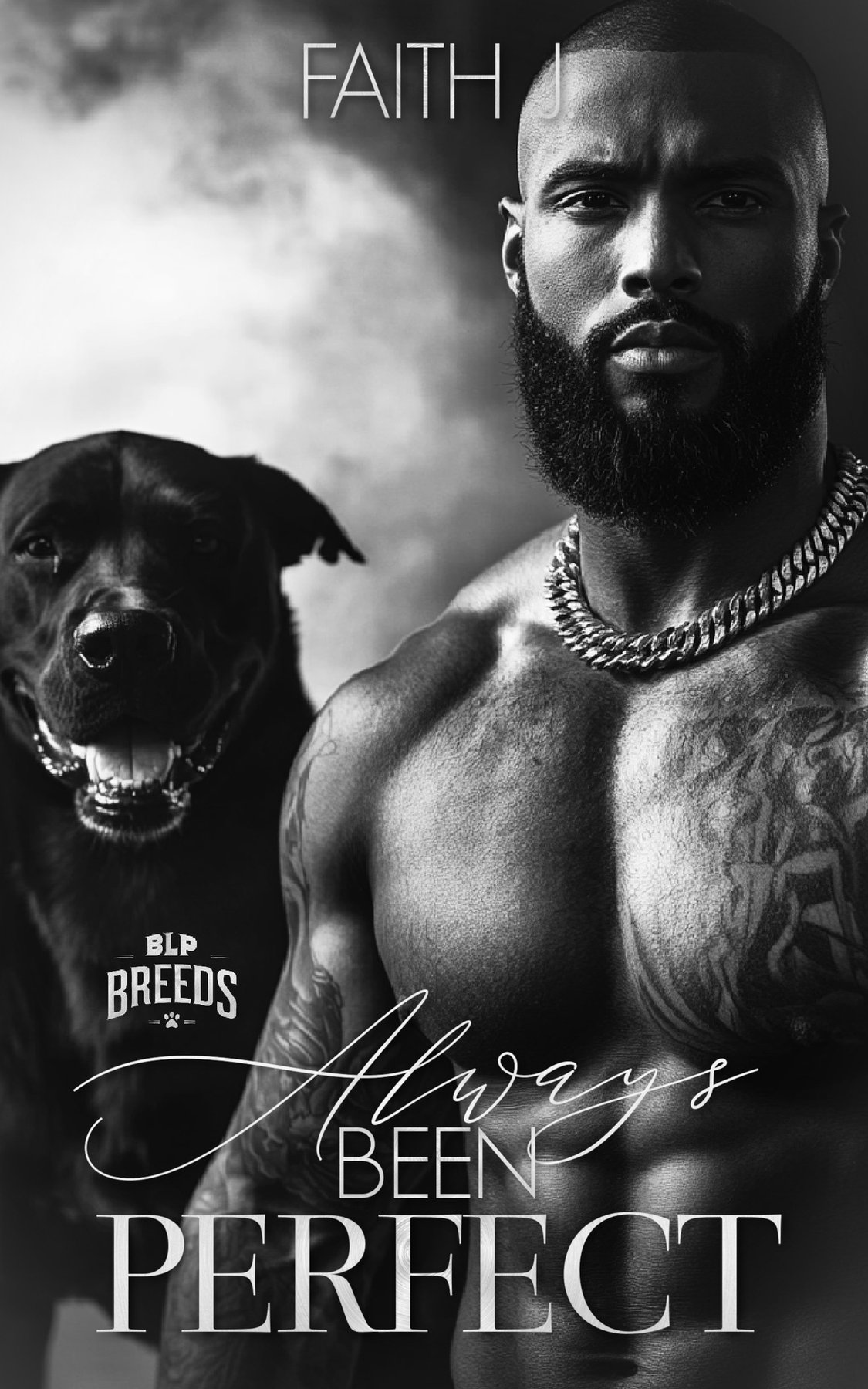 Cover of Always Been Perfect