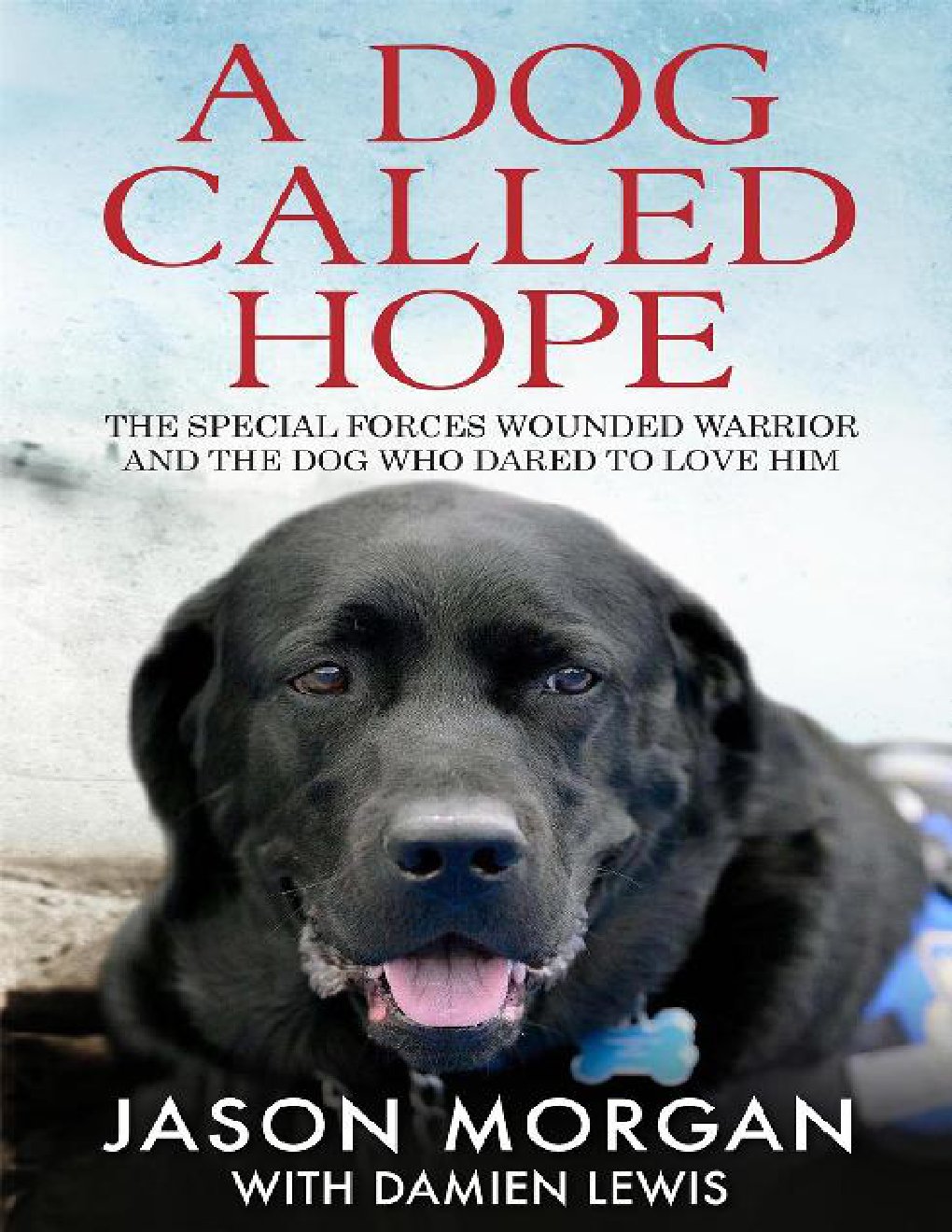 Cover of A Dog Called Hope