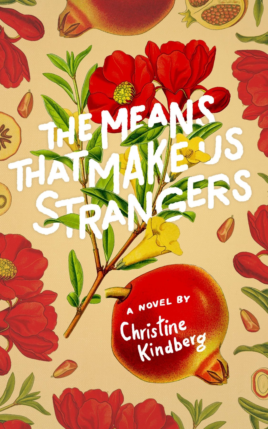 Cover of The Means That Make Us Strangers (2019)