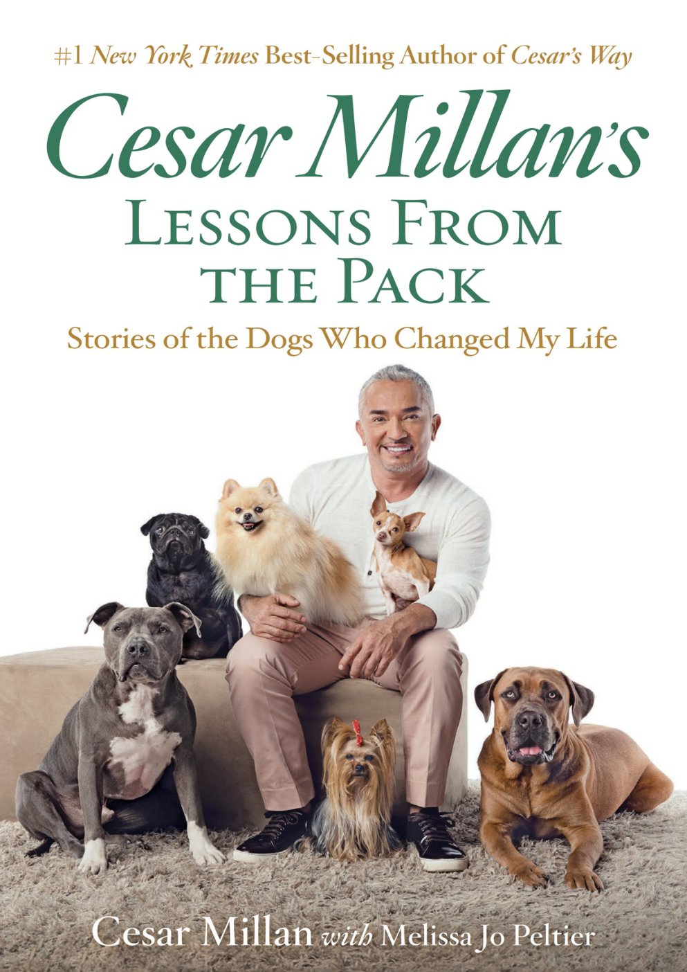 Cover of Cesar Millan's Lessons from the Pack