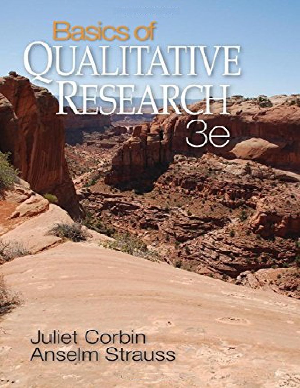 Cover of Basics of Qualitative Research : Techniques and Procedures for Developing Grounded Theory
