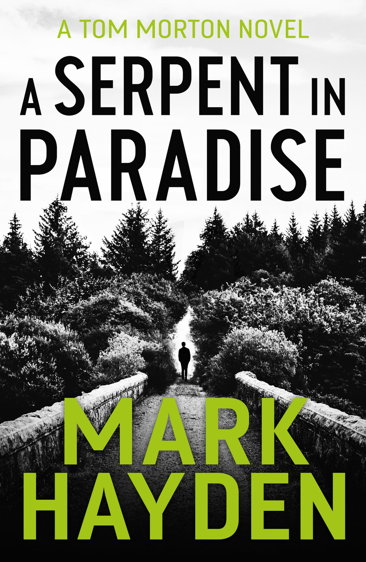 Cover of A Serpent in Paradise (Tom Morton Book 1)