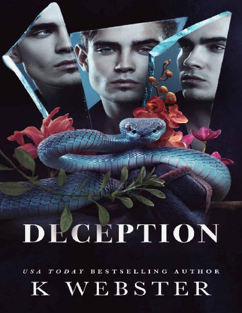 Cover of Deception