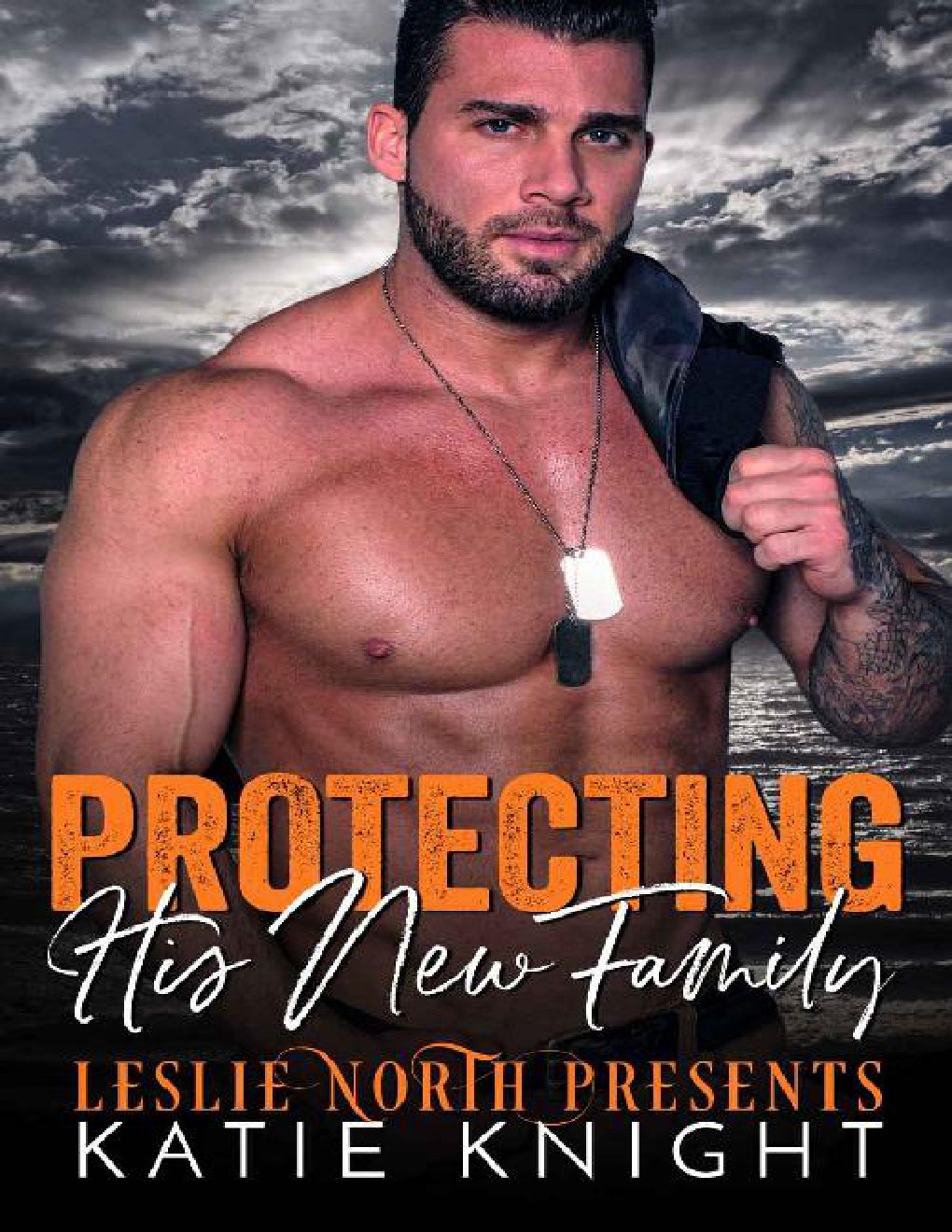 Cover of Protecting His New Family (2020)