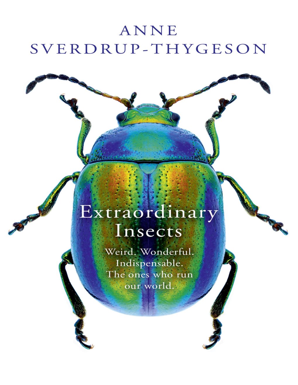 Cover of Extraordinary Insects