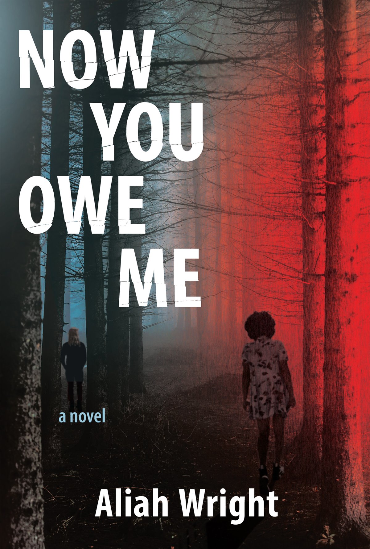 Cover of Now You Owe Me (2015)