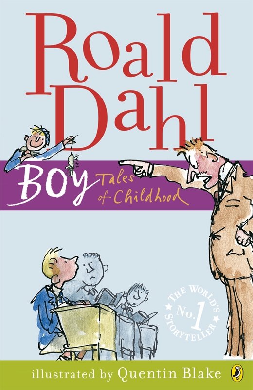 Cover of Boy (1916)