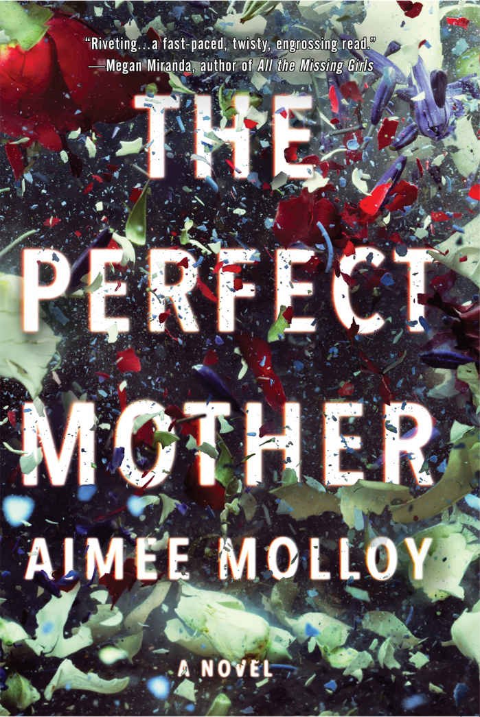 Cover of The Perfect Mother (2018)