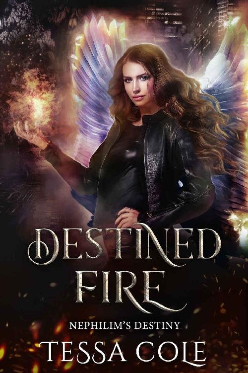 Cover of Destined Fire