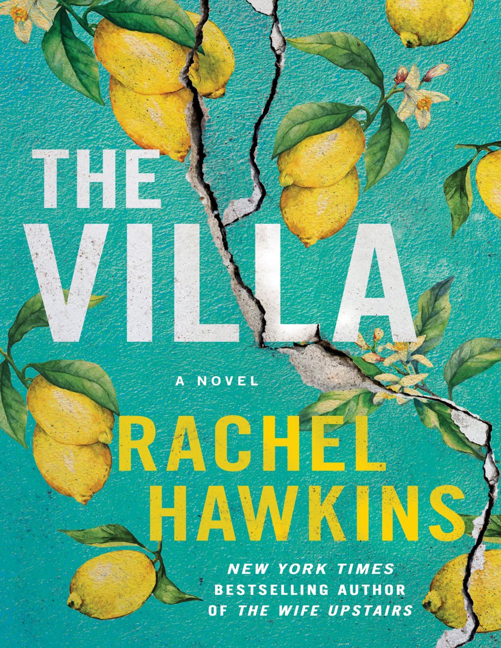 Cover of The Villa (1979)