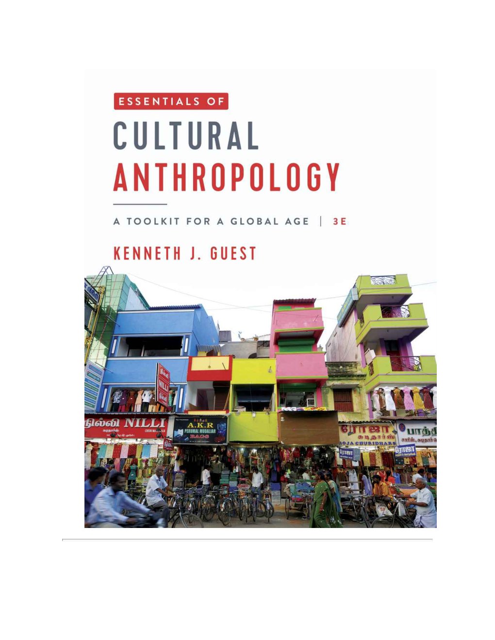 Cover of Essentials of Cultural Anthropology: A Toolkit for a Global Age (Third Edition)