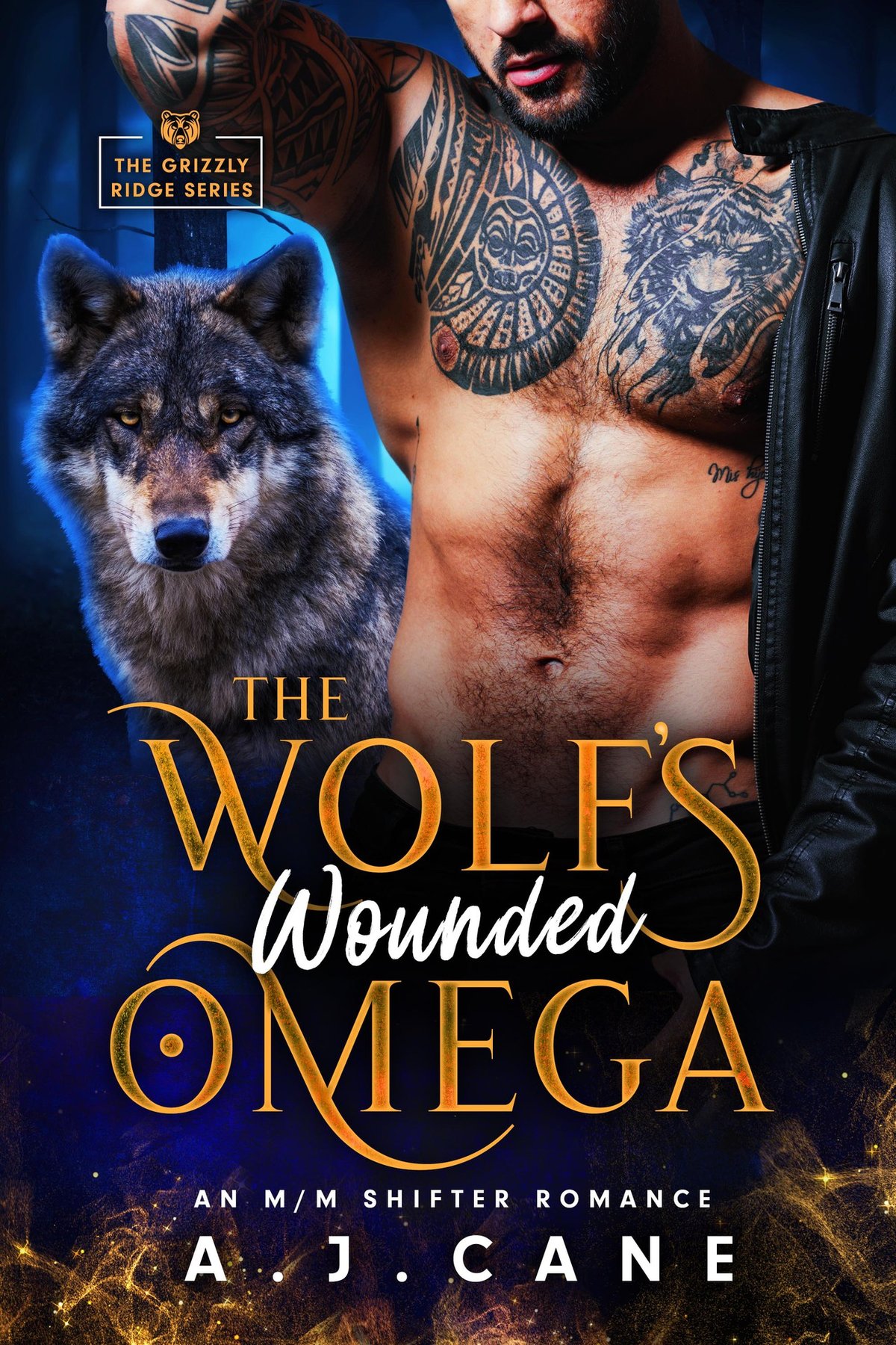 Cover of The Wolf's Wounded Omega: An MM Shifter Romance