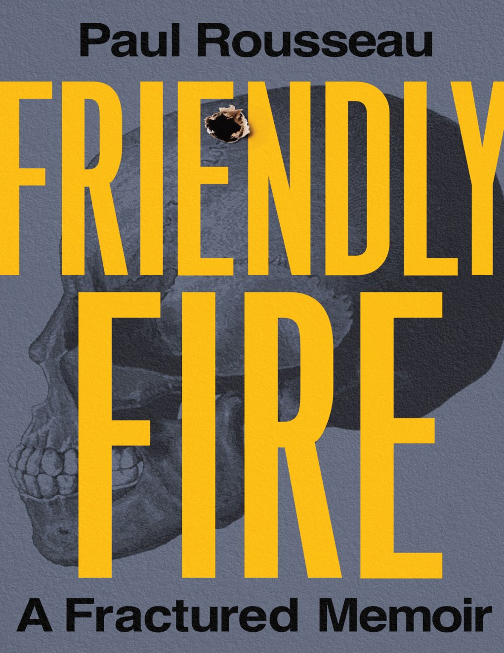 Cover of Friendly Fire
