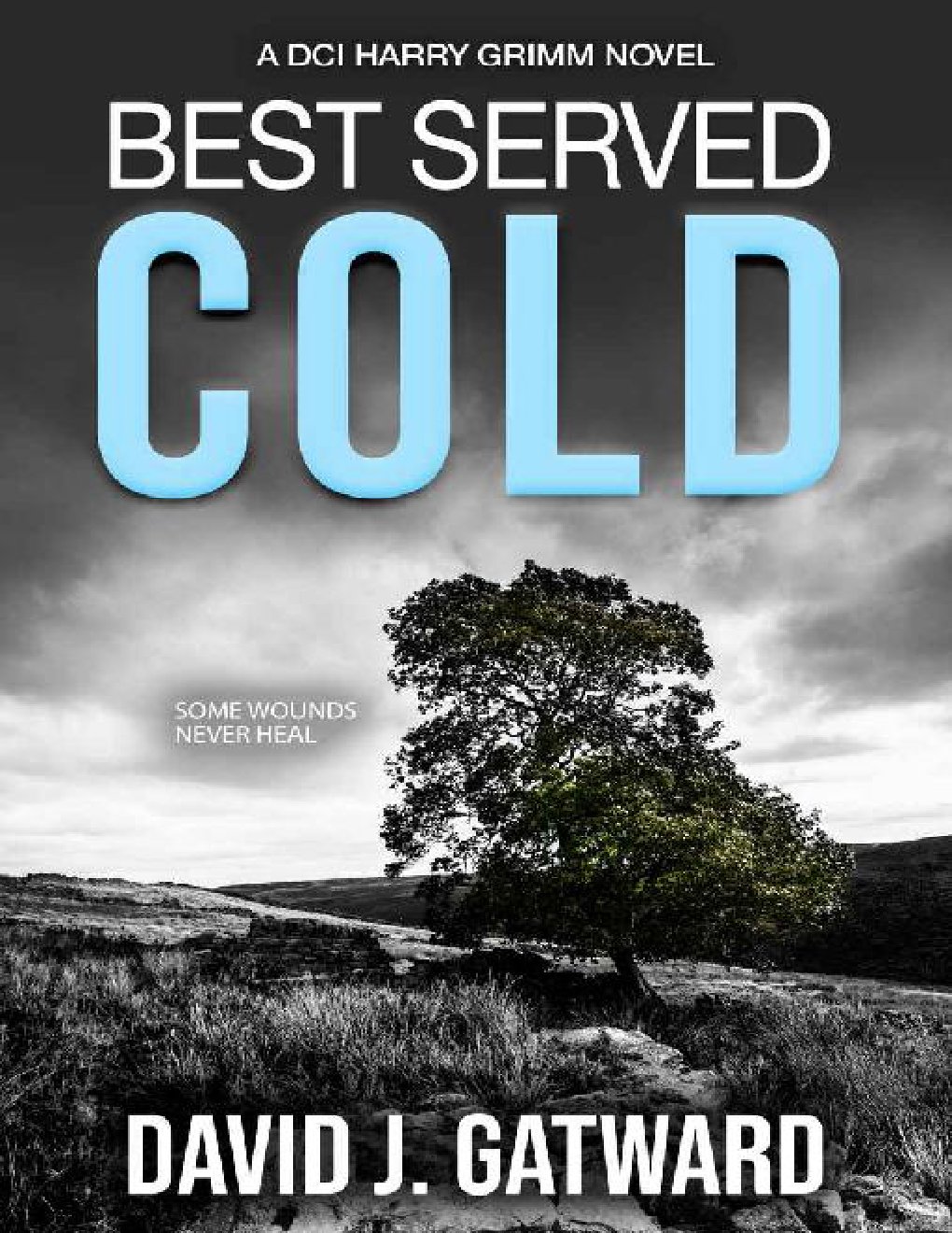 Cover of Best Served Cold: A DCI Harry Grimm Novel