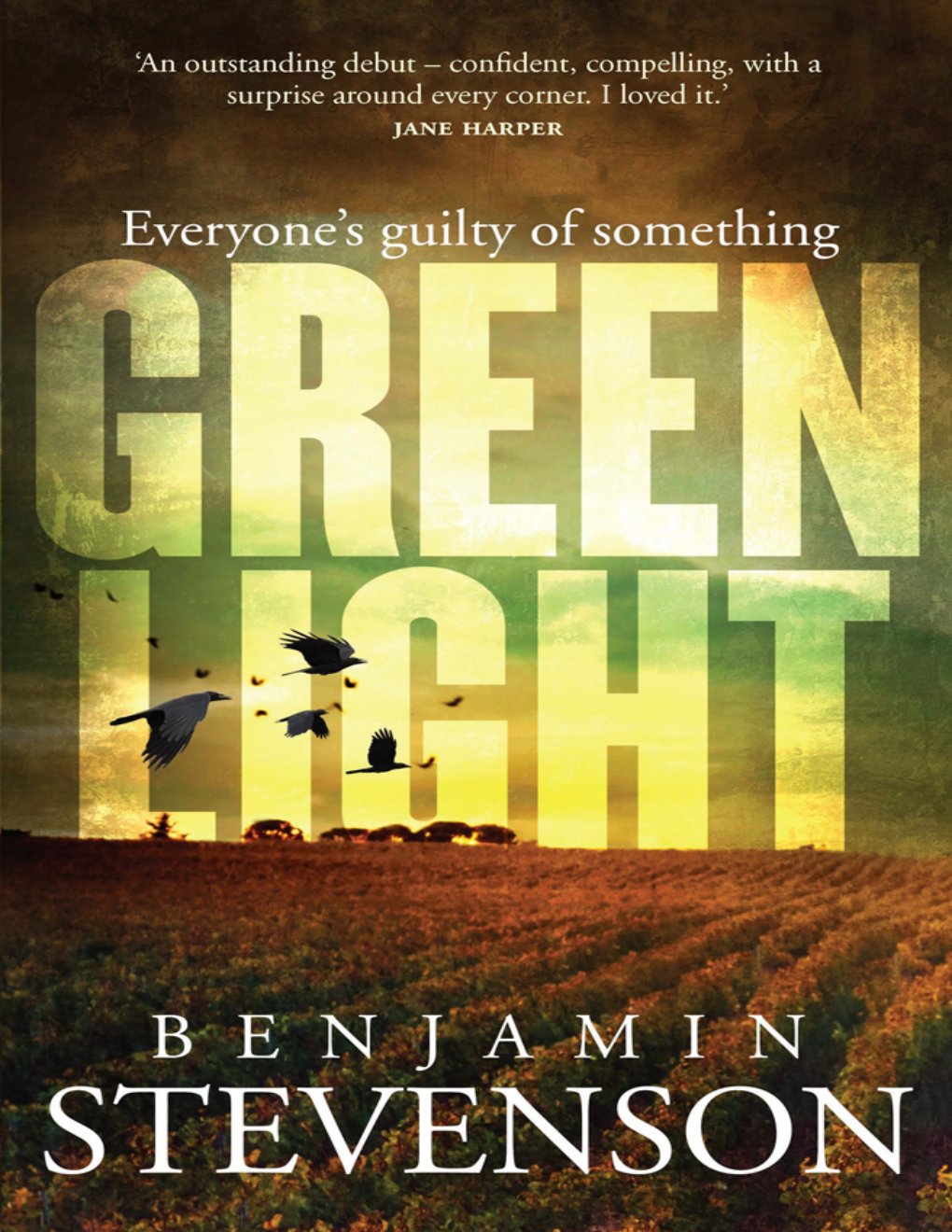 Cover of Greenlight