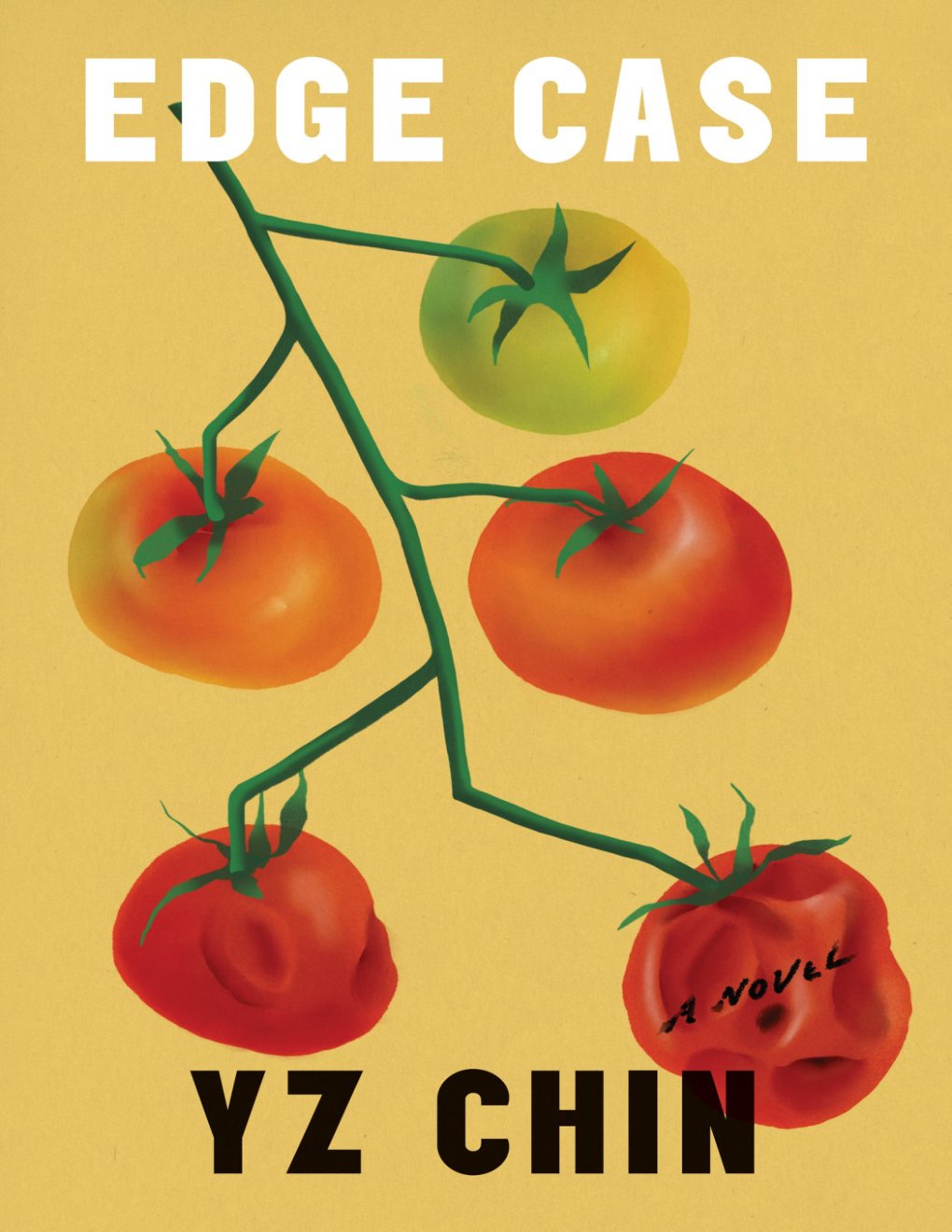 Cover of Edge Case