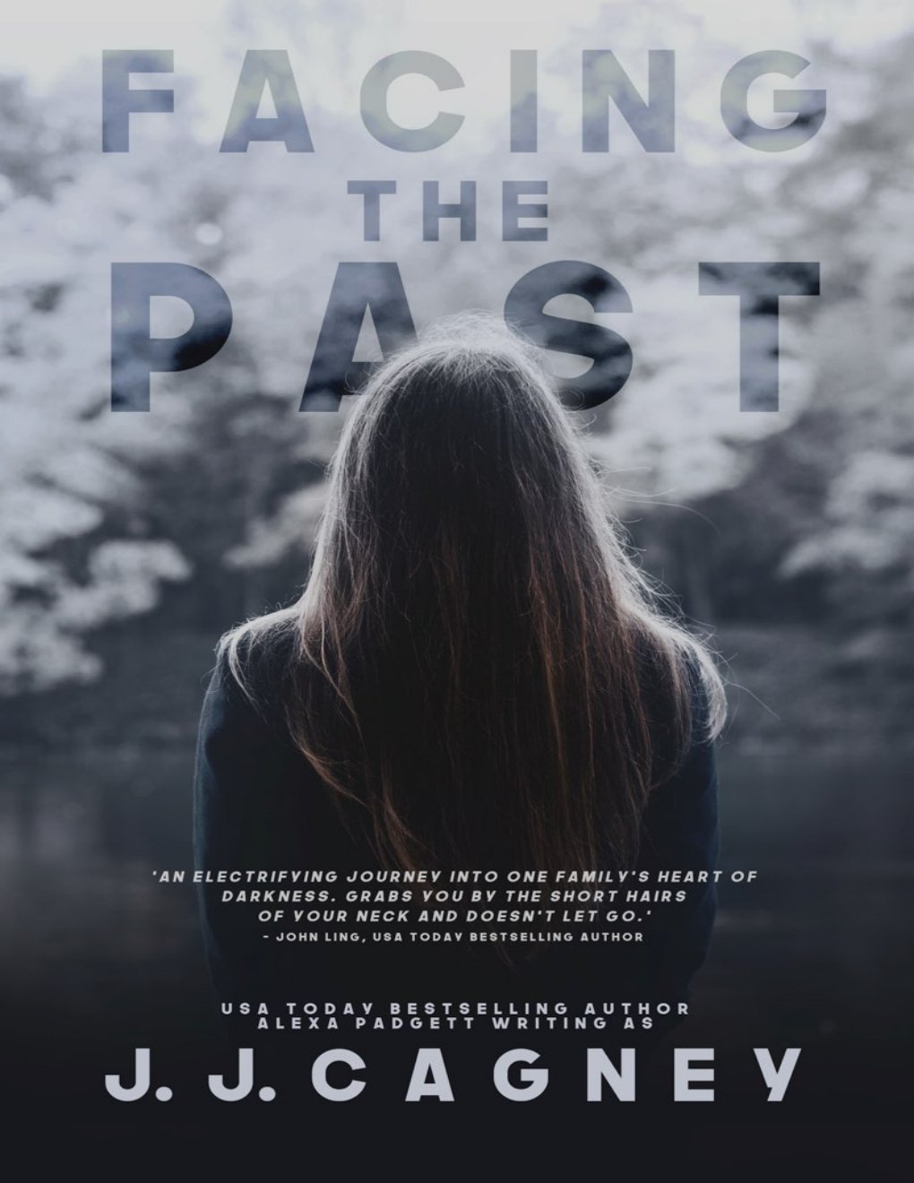 Cover of Facing the Past