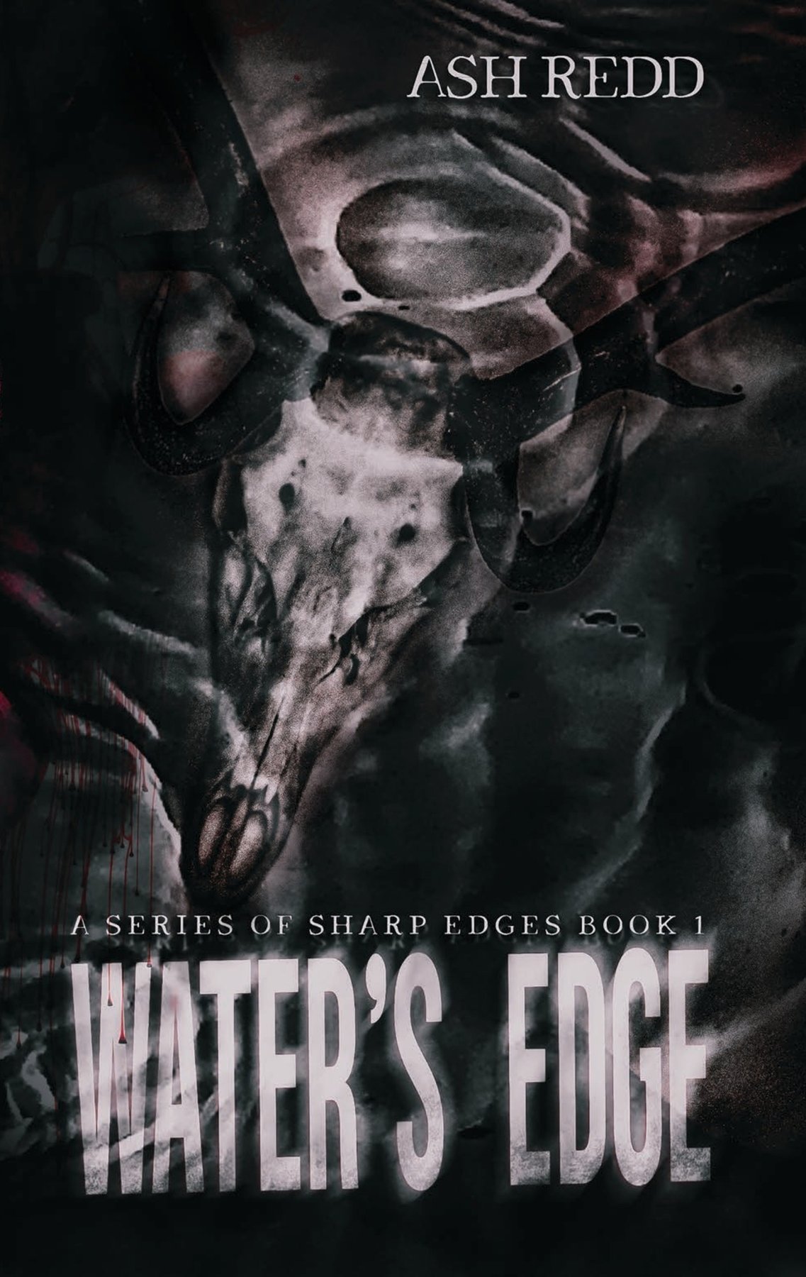 Cover of Water's Edge