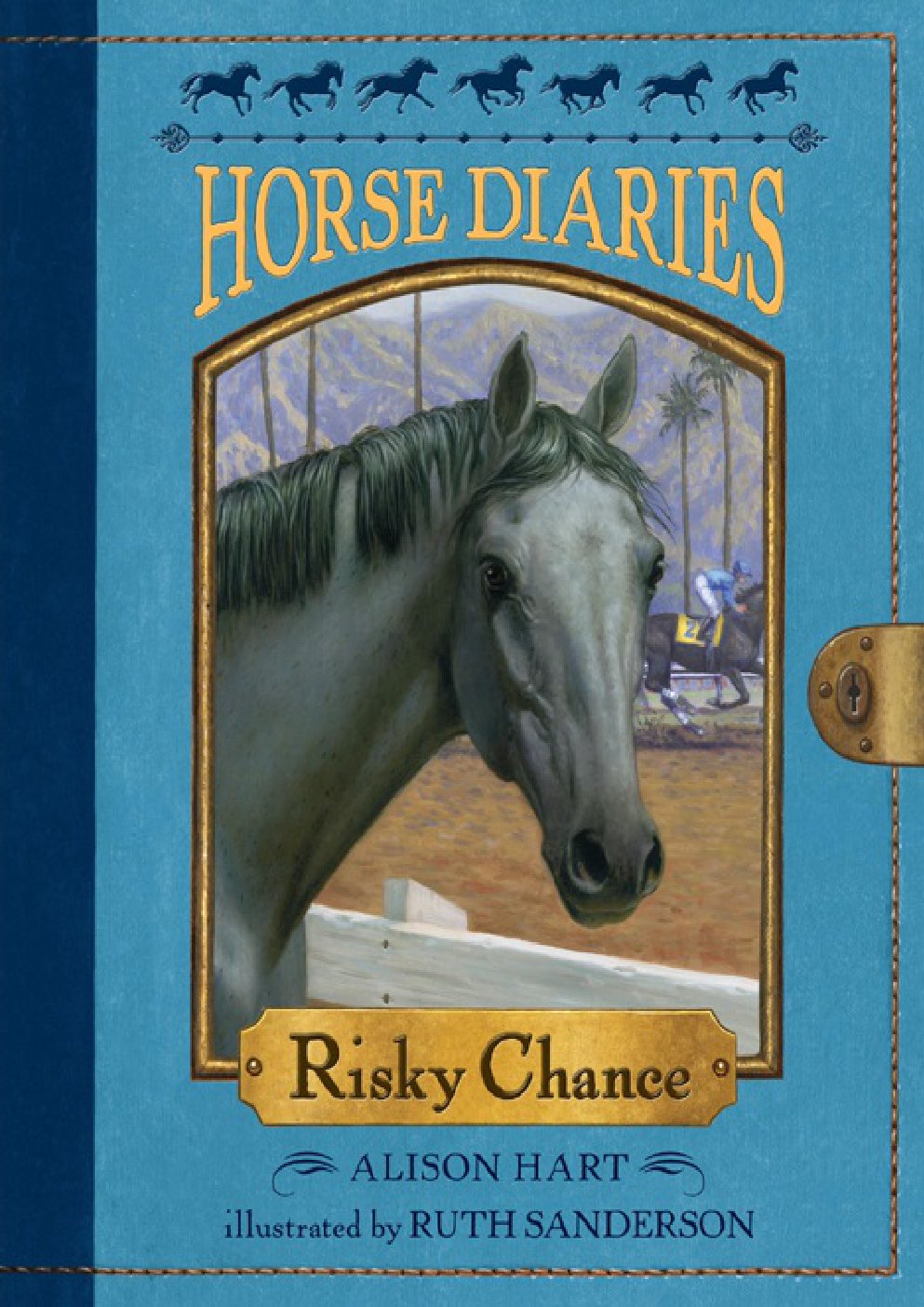 Cover of Risky Chance
