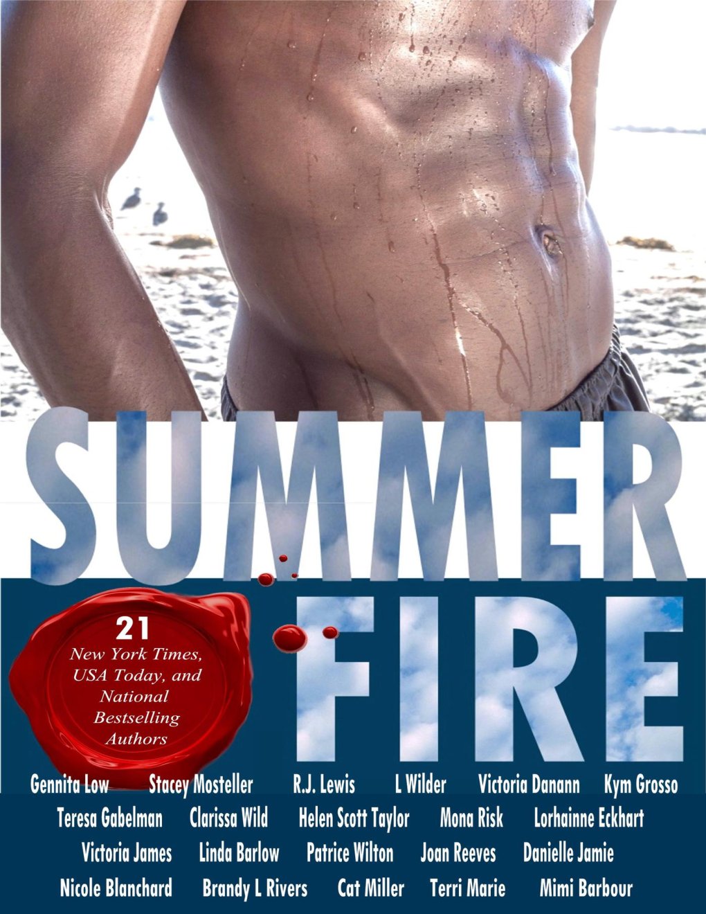 Cover of Summer Fire