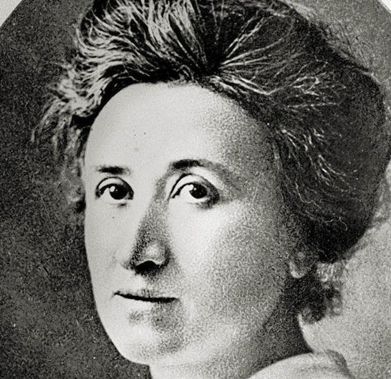 Cover of Reform or Revolution