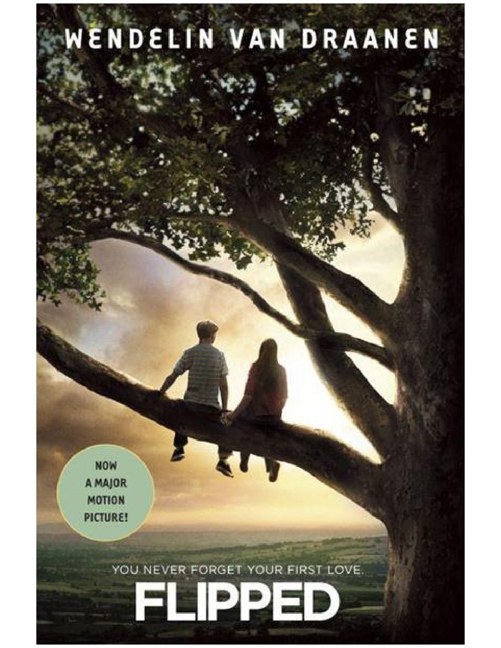 Cover of Flipped