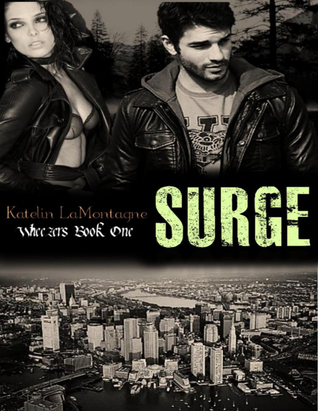 Cover of Surge