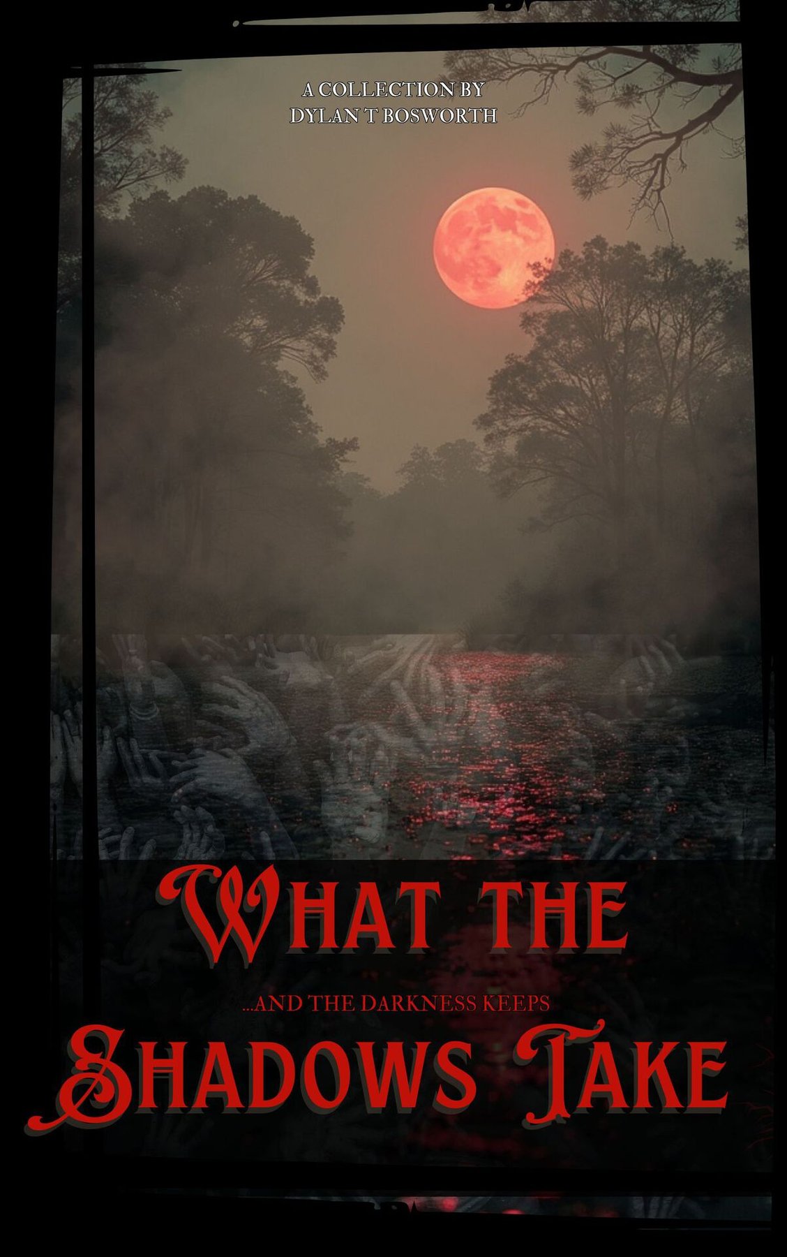 Cover of What the Shadows Take .and the darkness keeps- A Collection (2024)