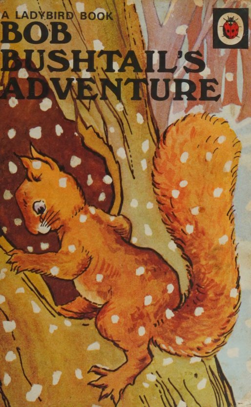 Cover of Bob Bushtail's adventure (1941)