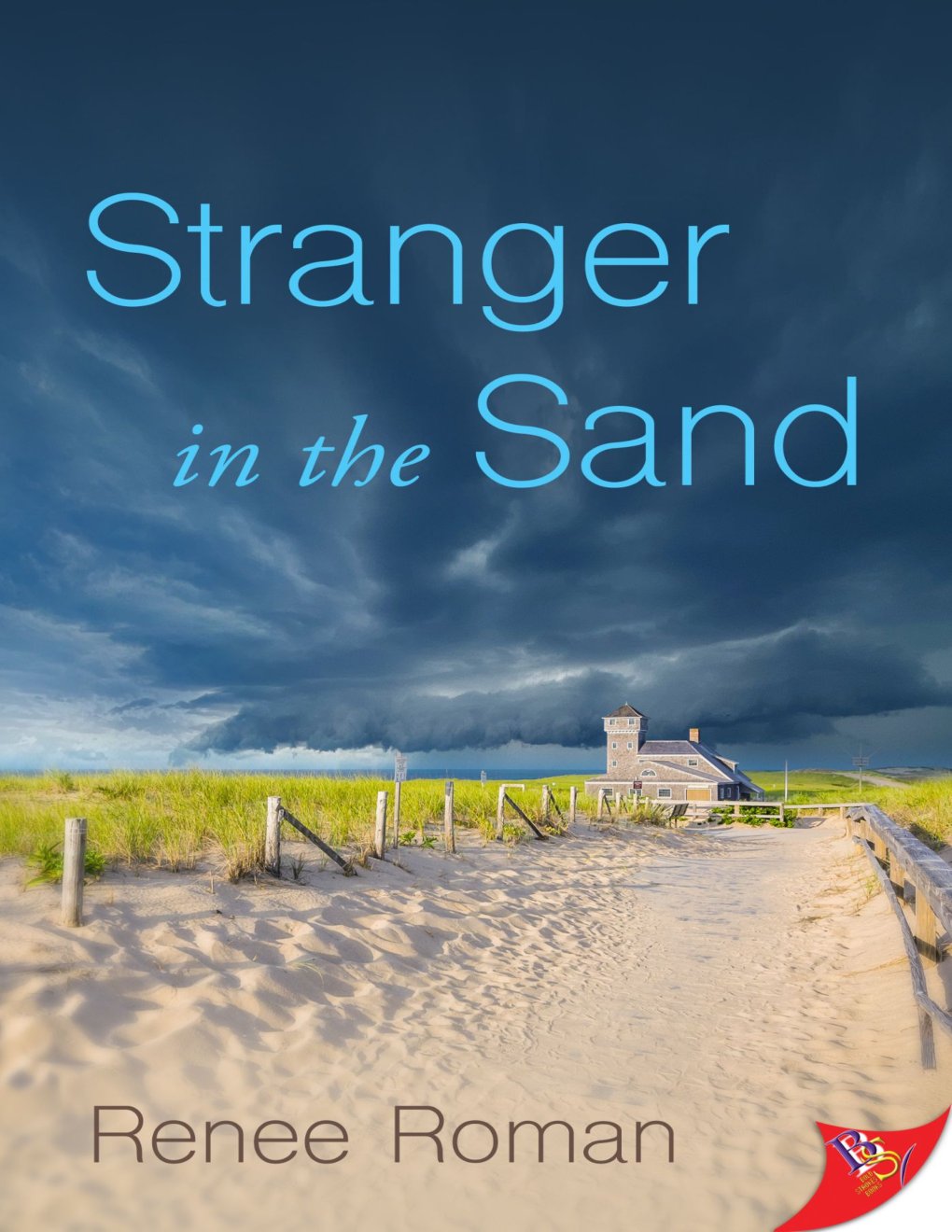 Cover of Stranger in the Sand