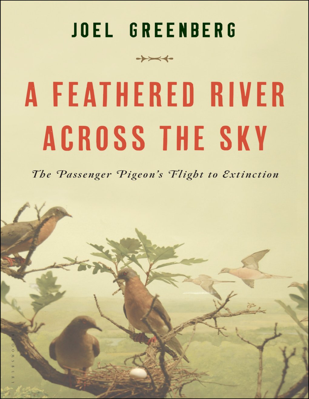 Cover of A Feathered River Across the Sky