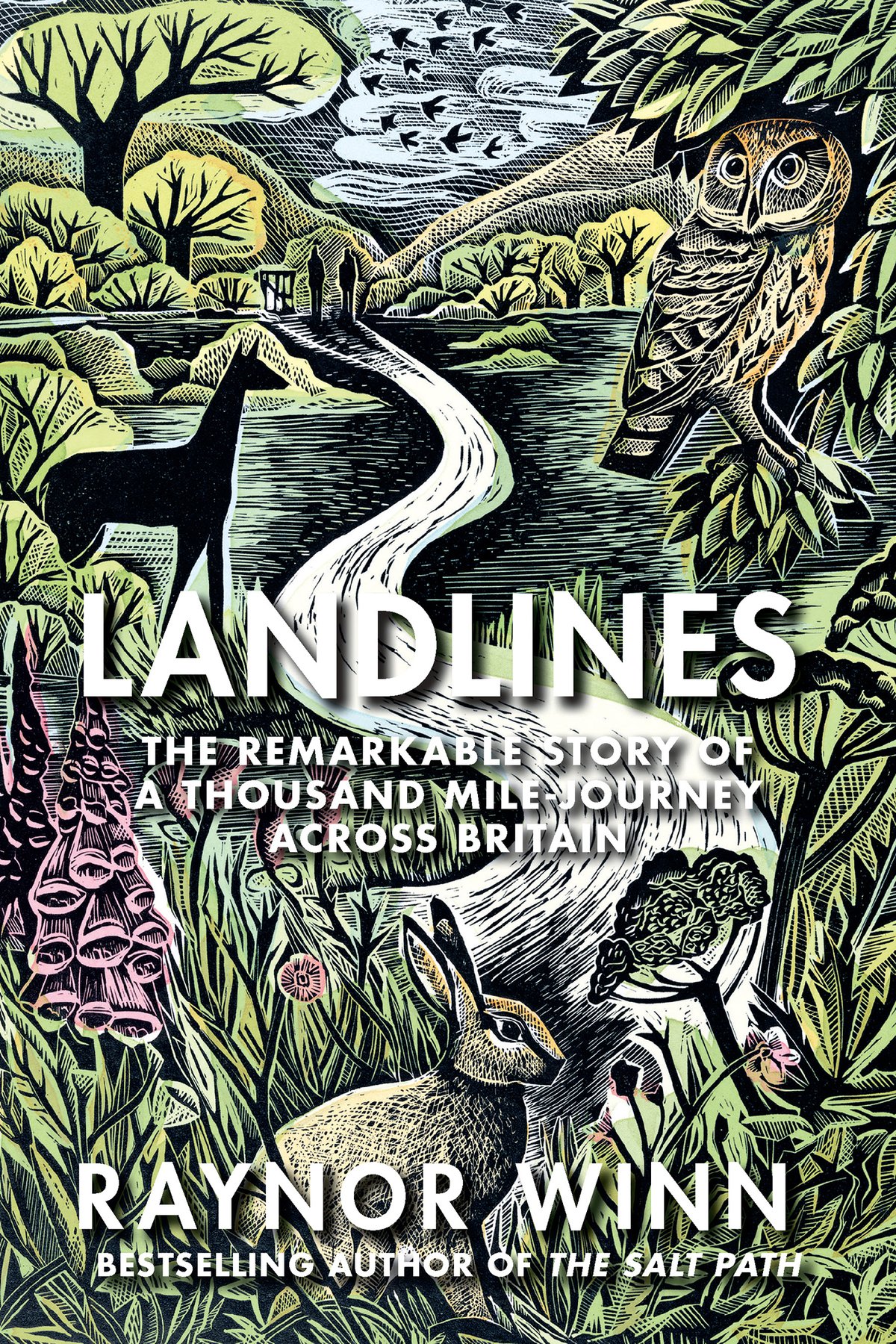 Cover of Landlines