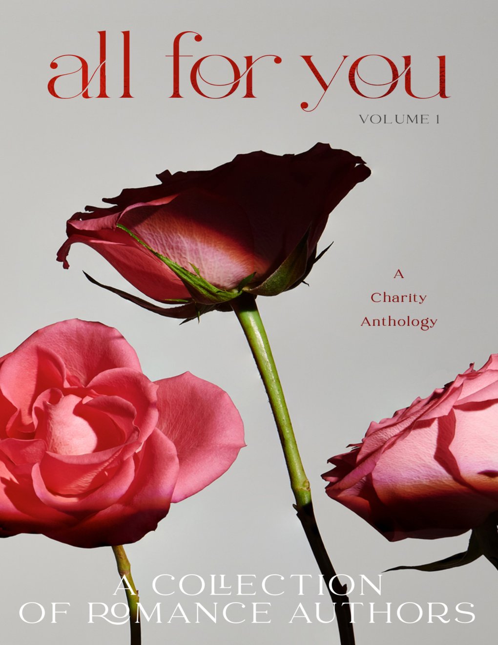 Cover of All For You: A Charity Anthology