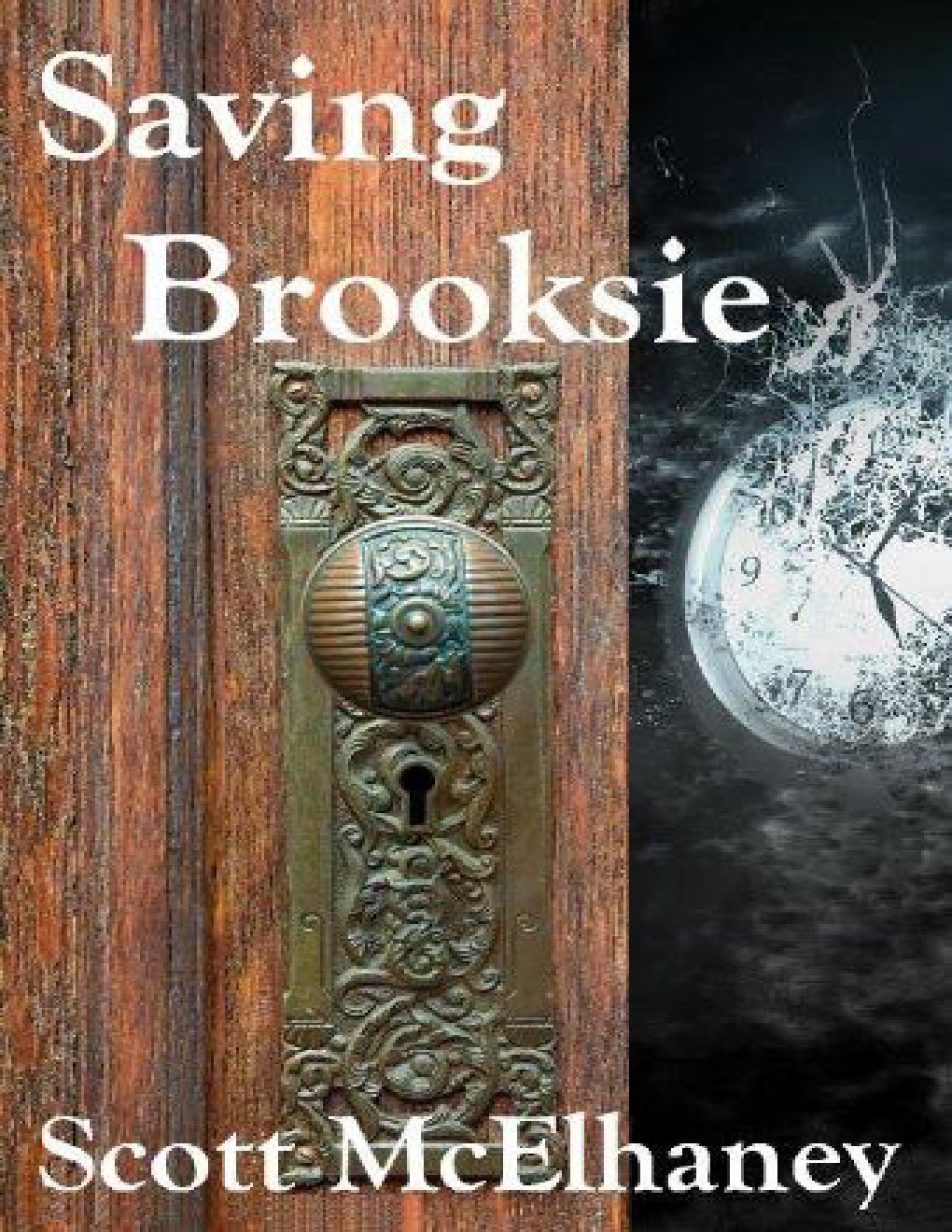 Cover of Saving Brooksie