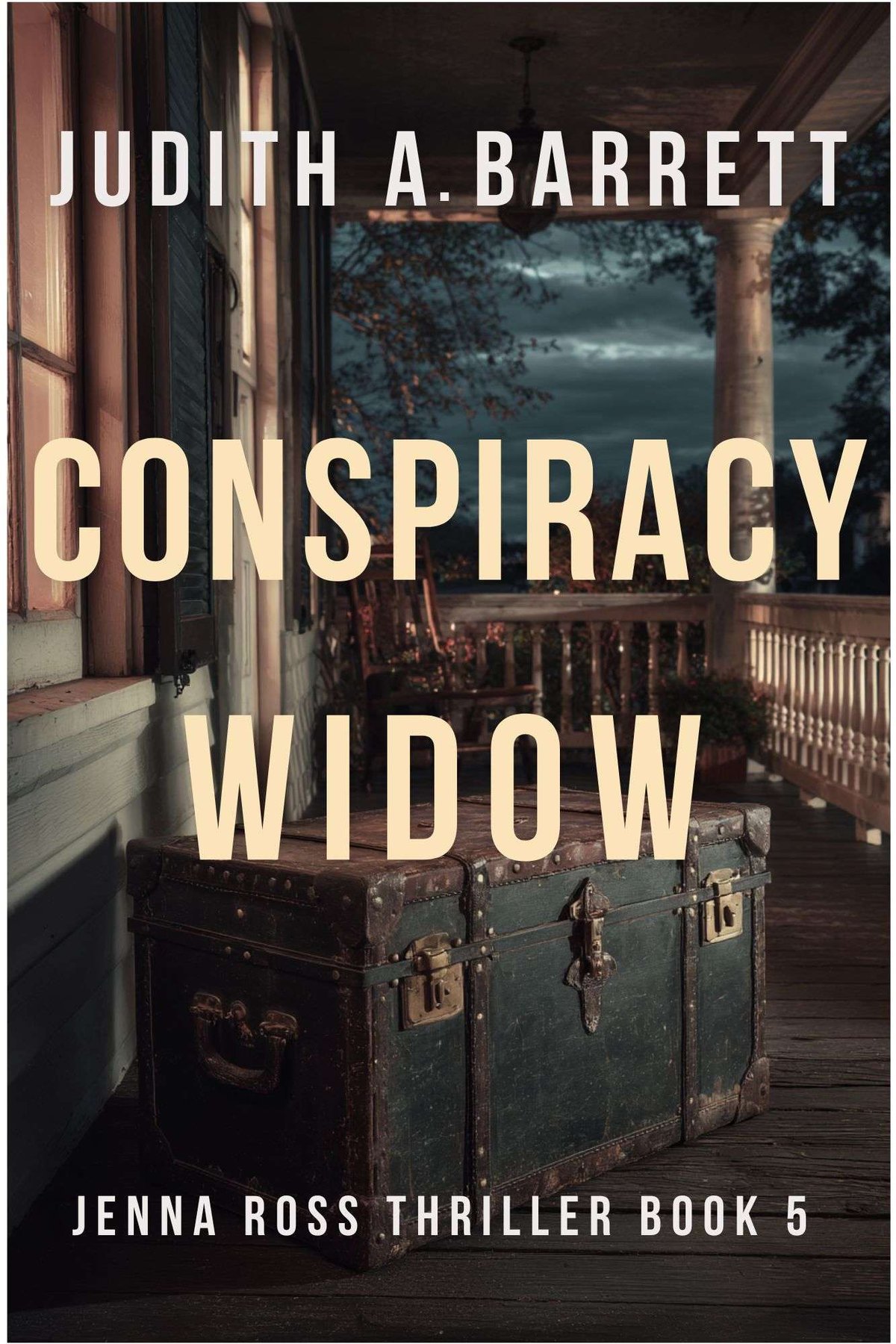 Cover of Conspiracy Widow