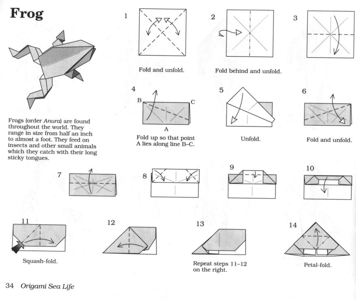 Cover of Origami Sculptures